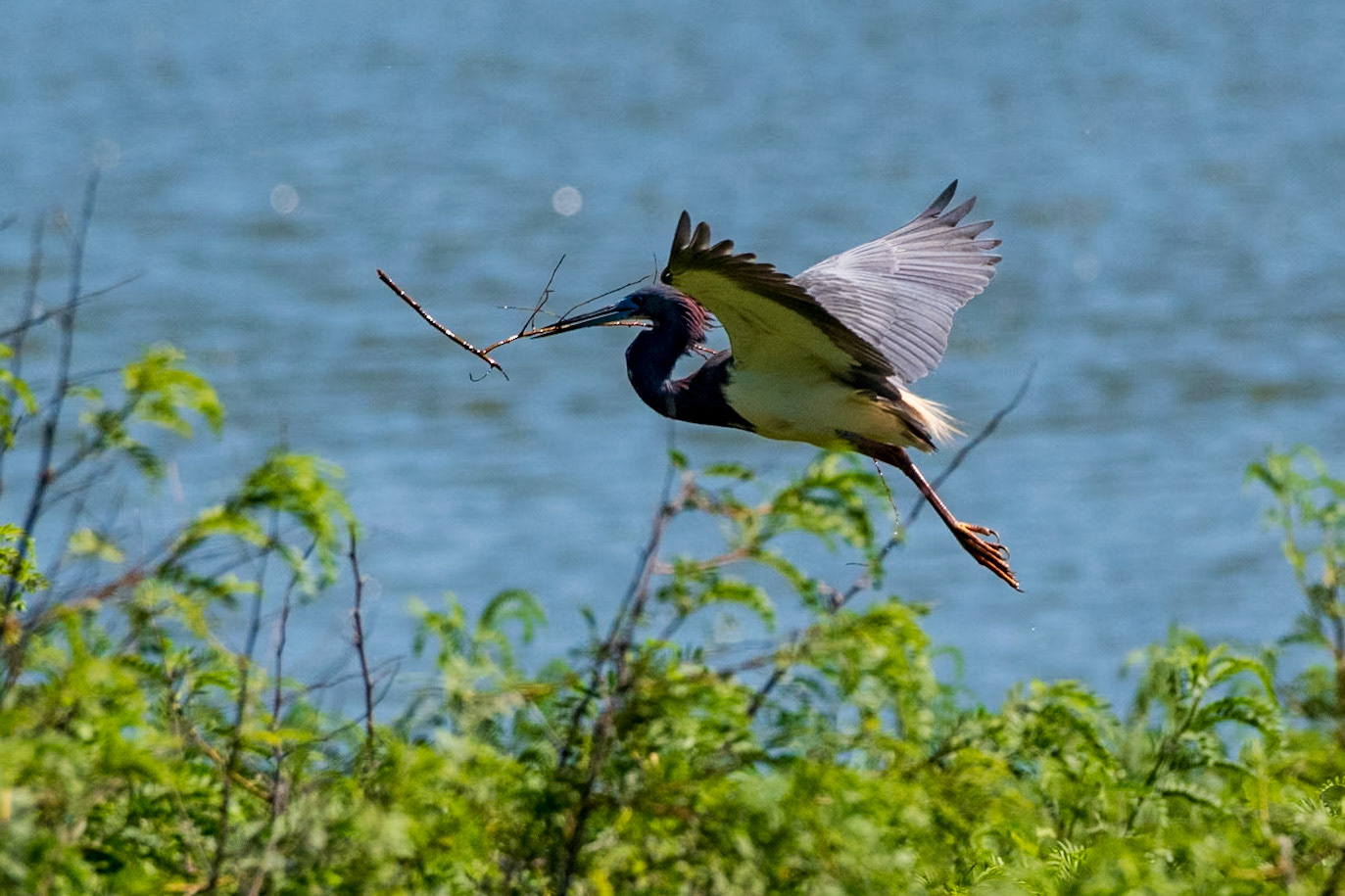 High Island Texas