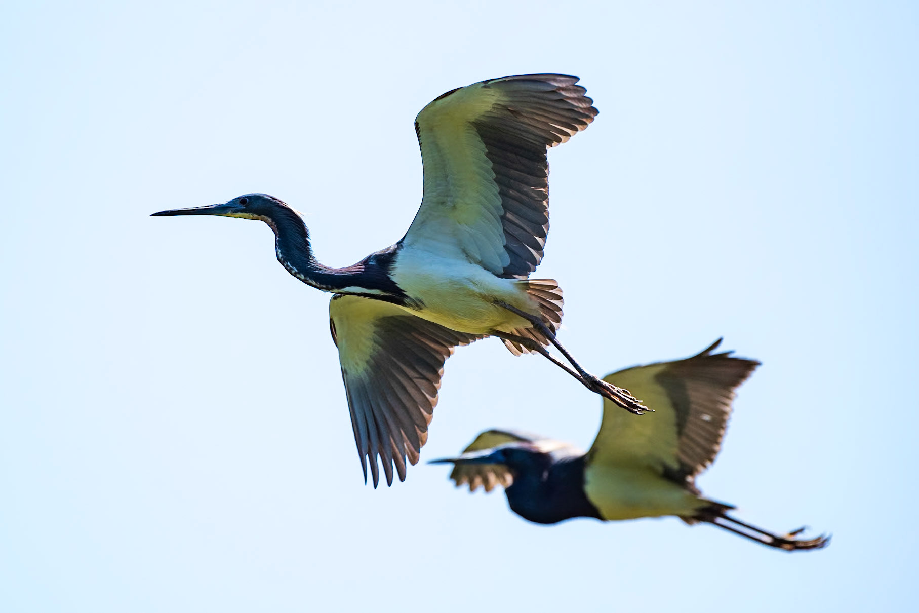 High Island Texas
