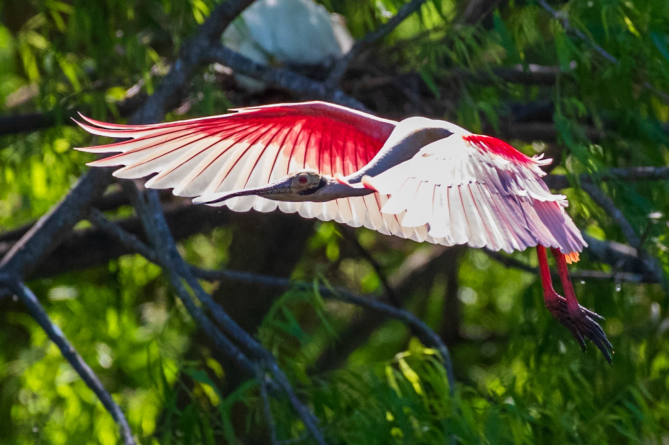 High Island Texas