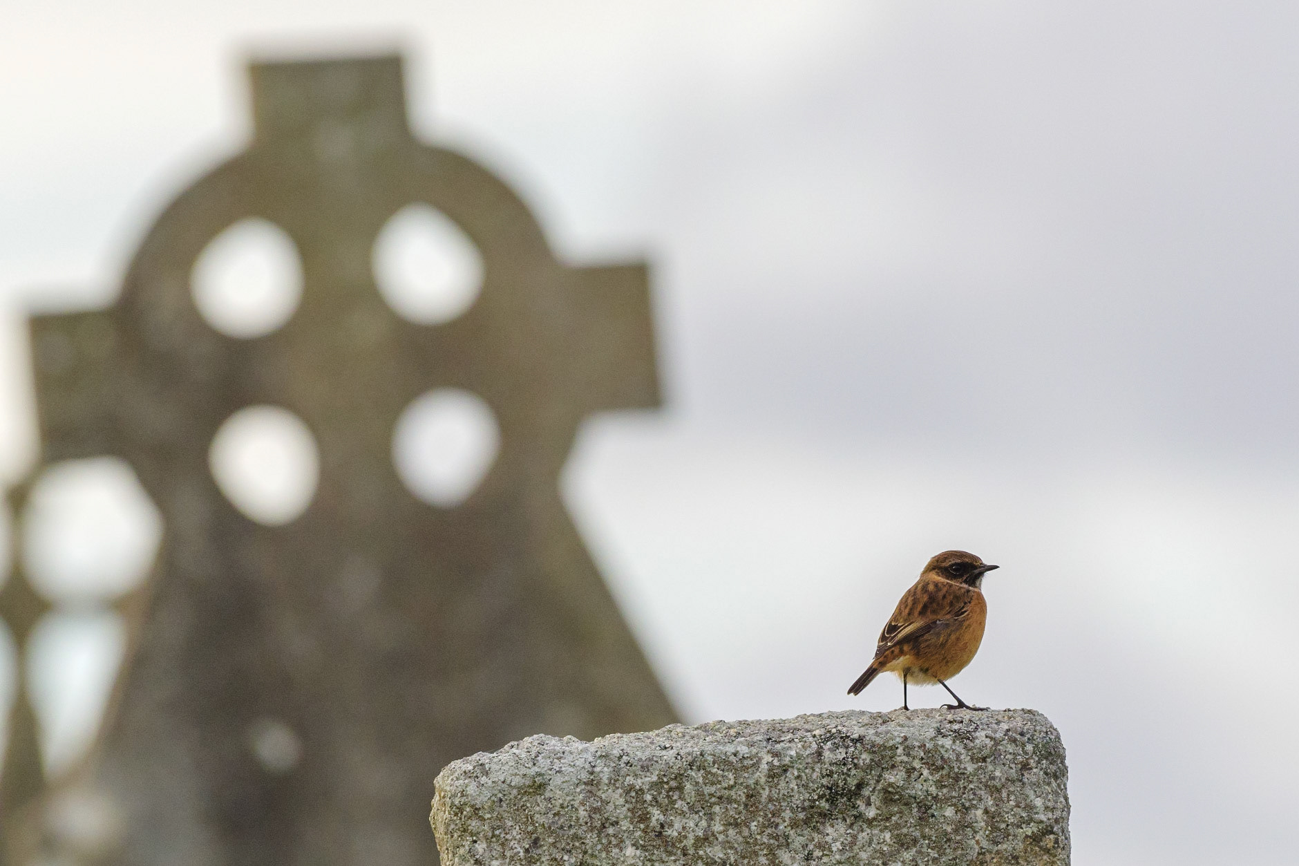 Ireland