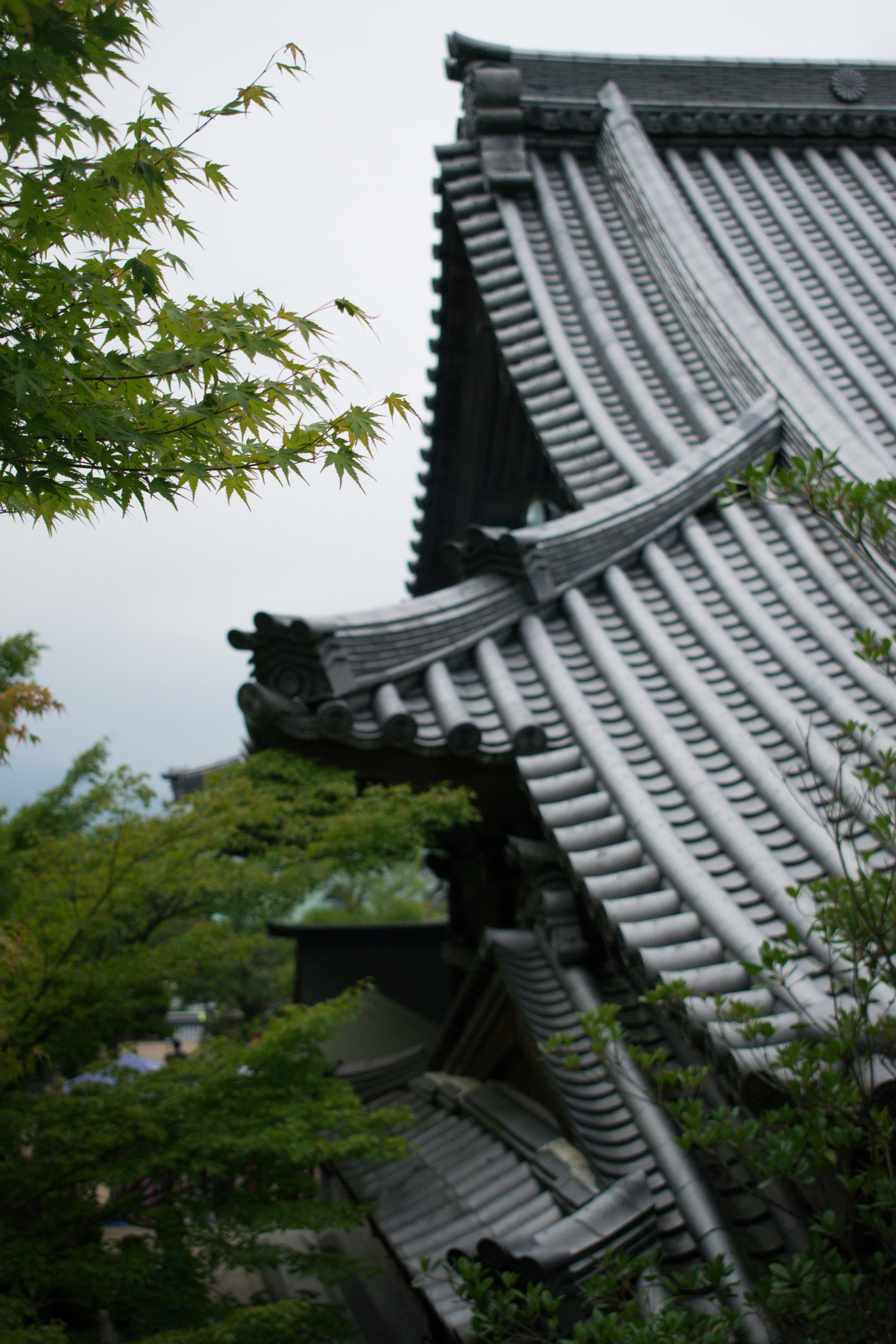 Rooftops - Miyajima