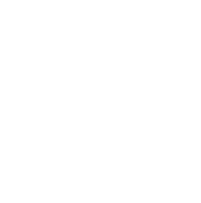 Jason Novele