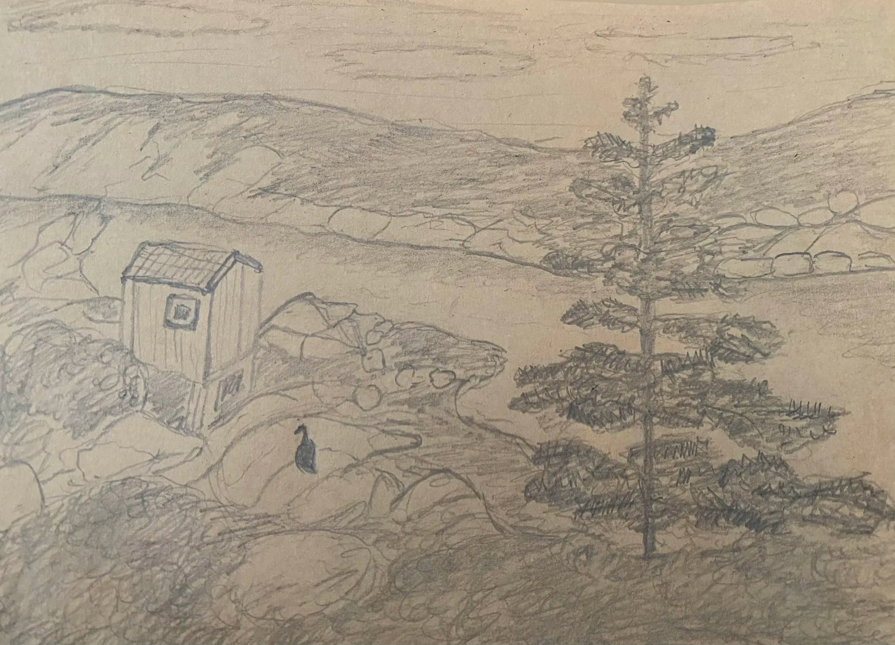 Landscape