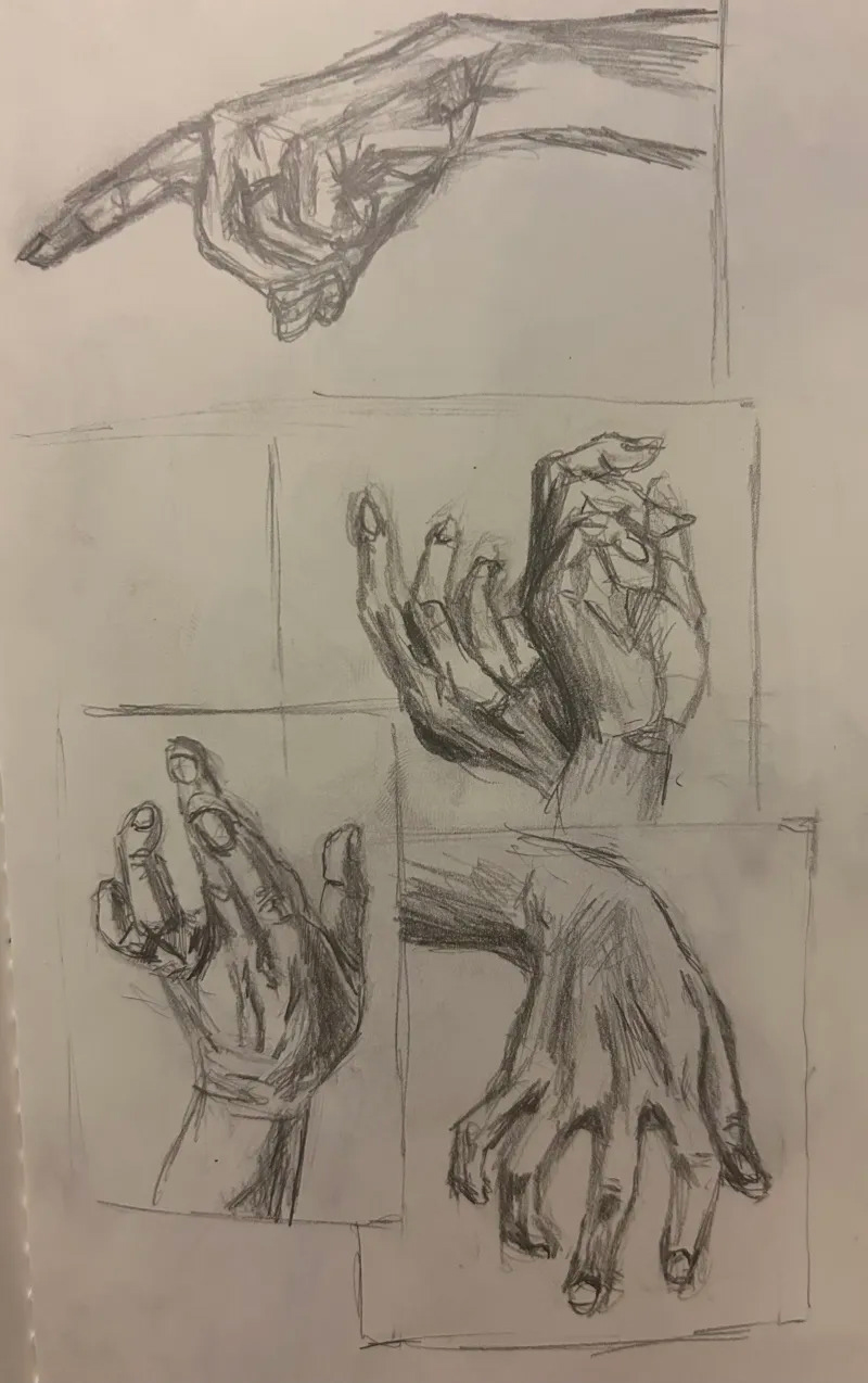 Anatomy