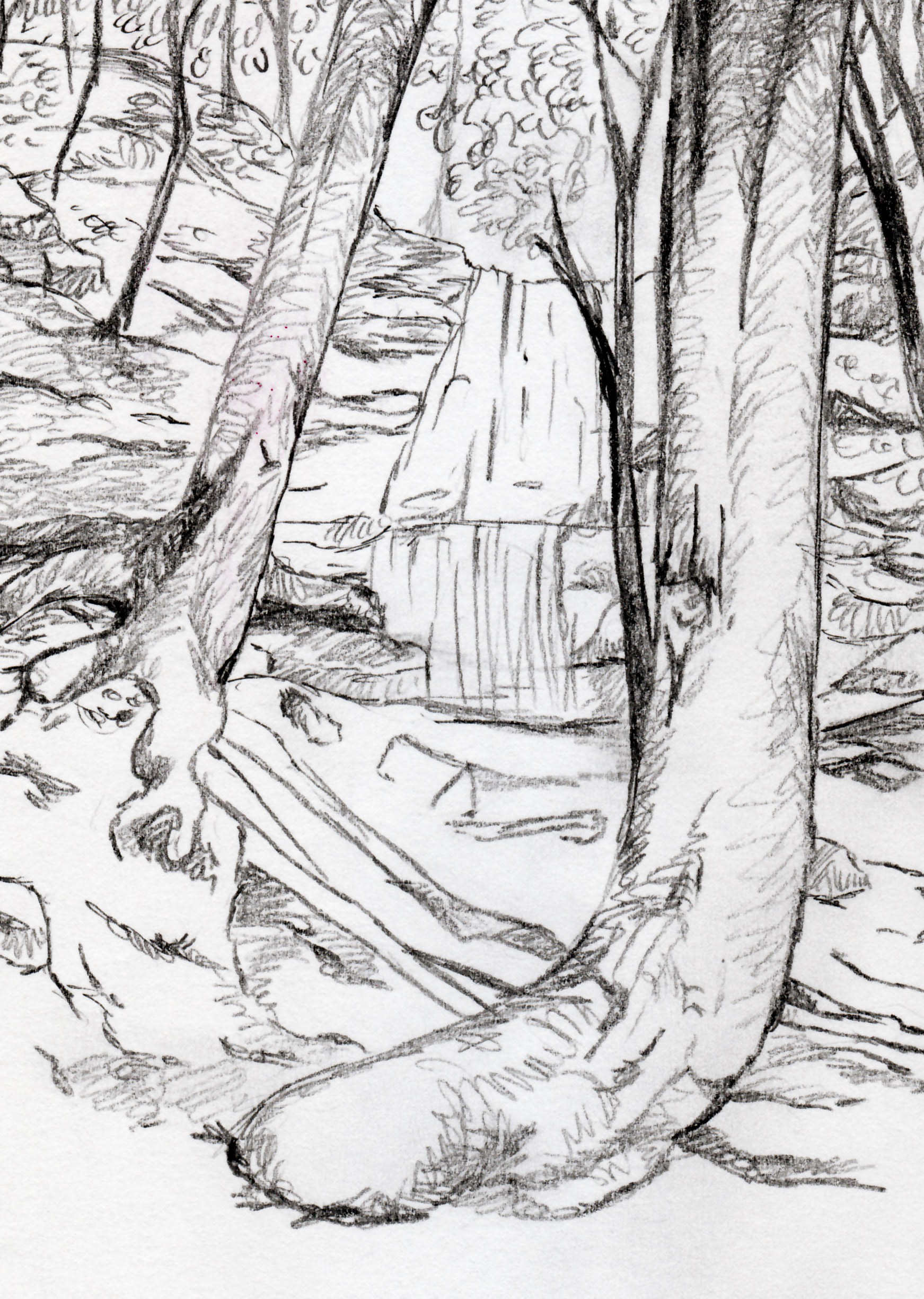 Demo from a class