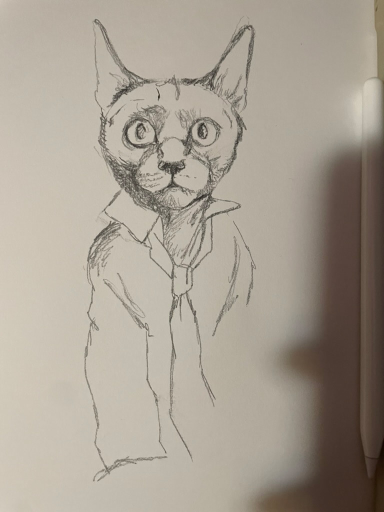 Cat Study