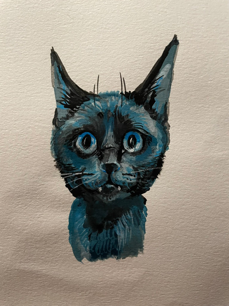 Cat Study