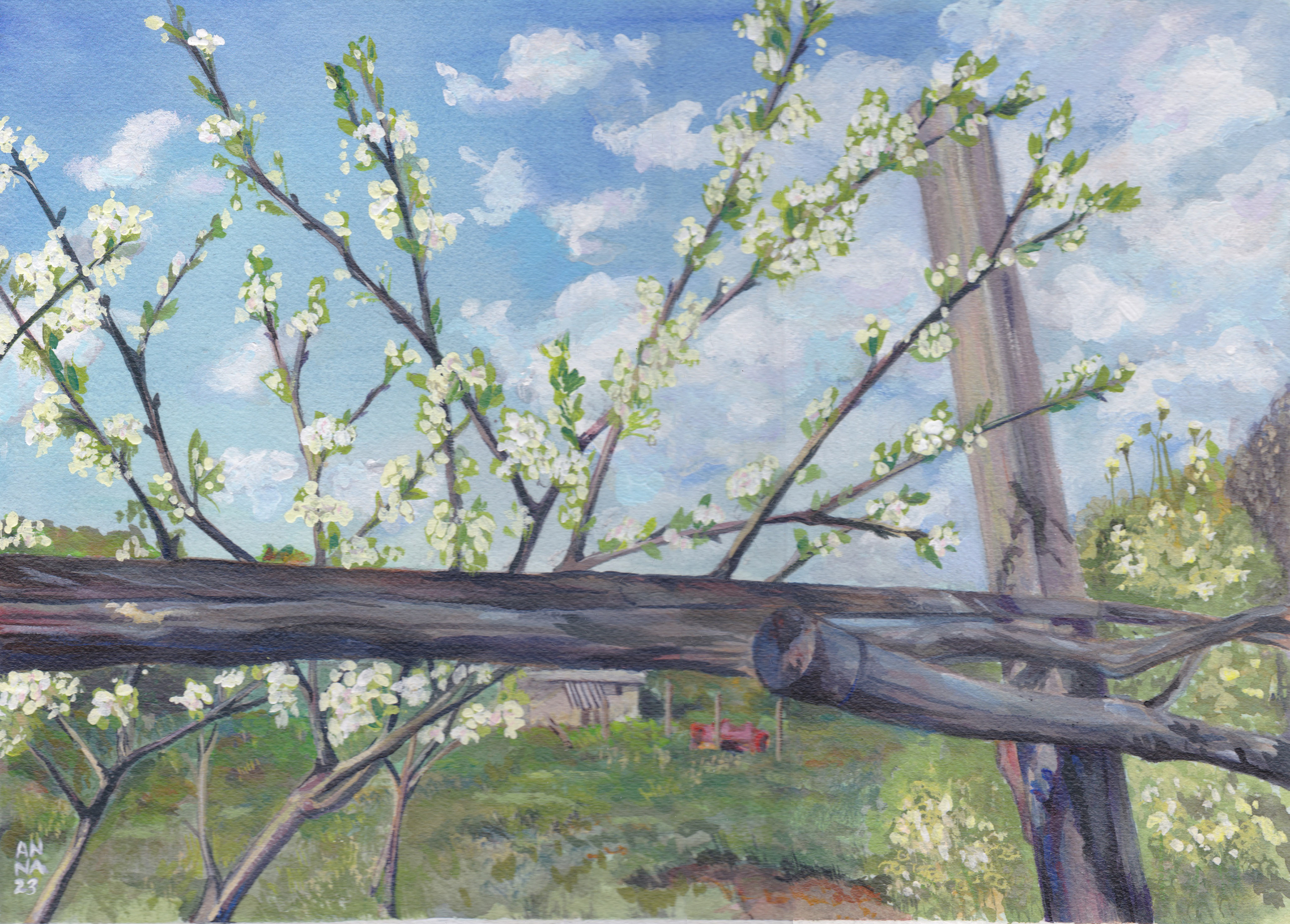 Acrylic 2023