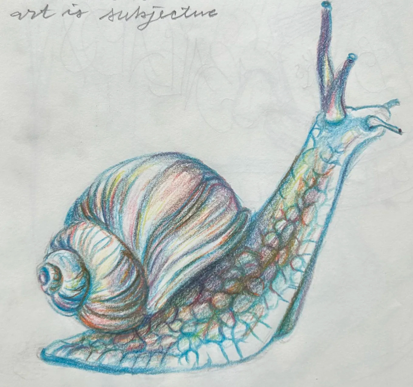 Snail Study