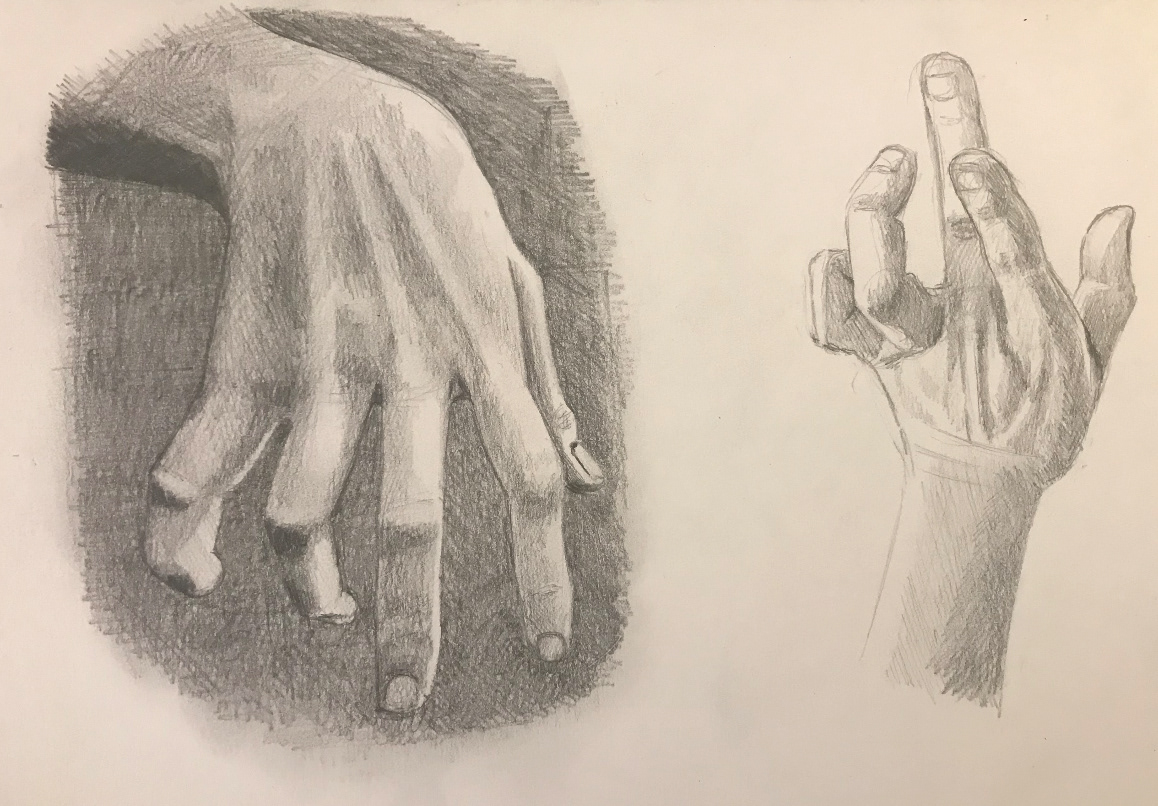 Anatomy
