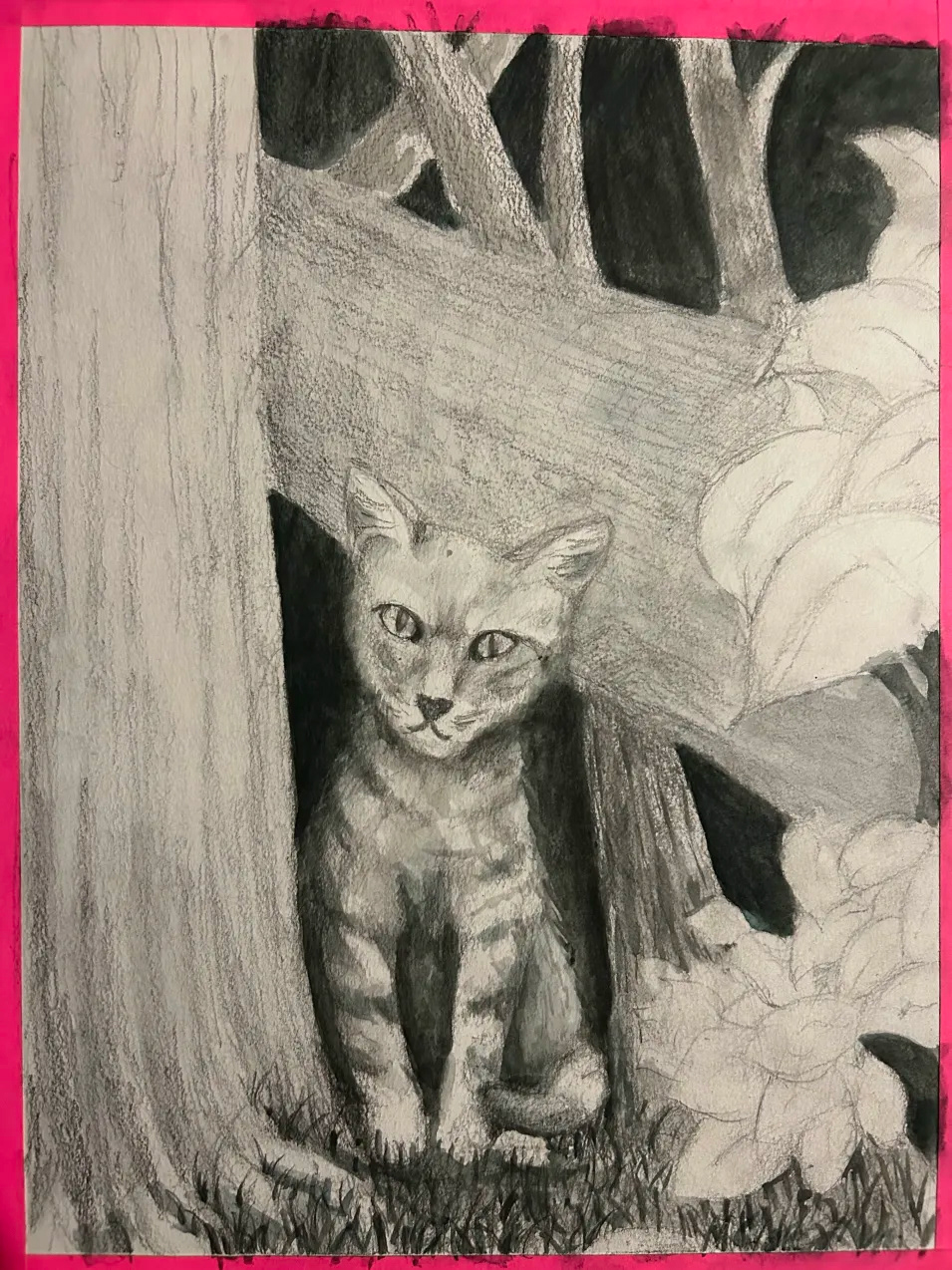 Cat Study