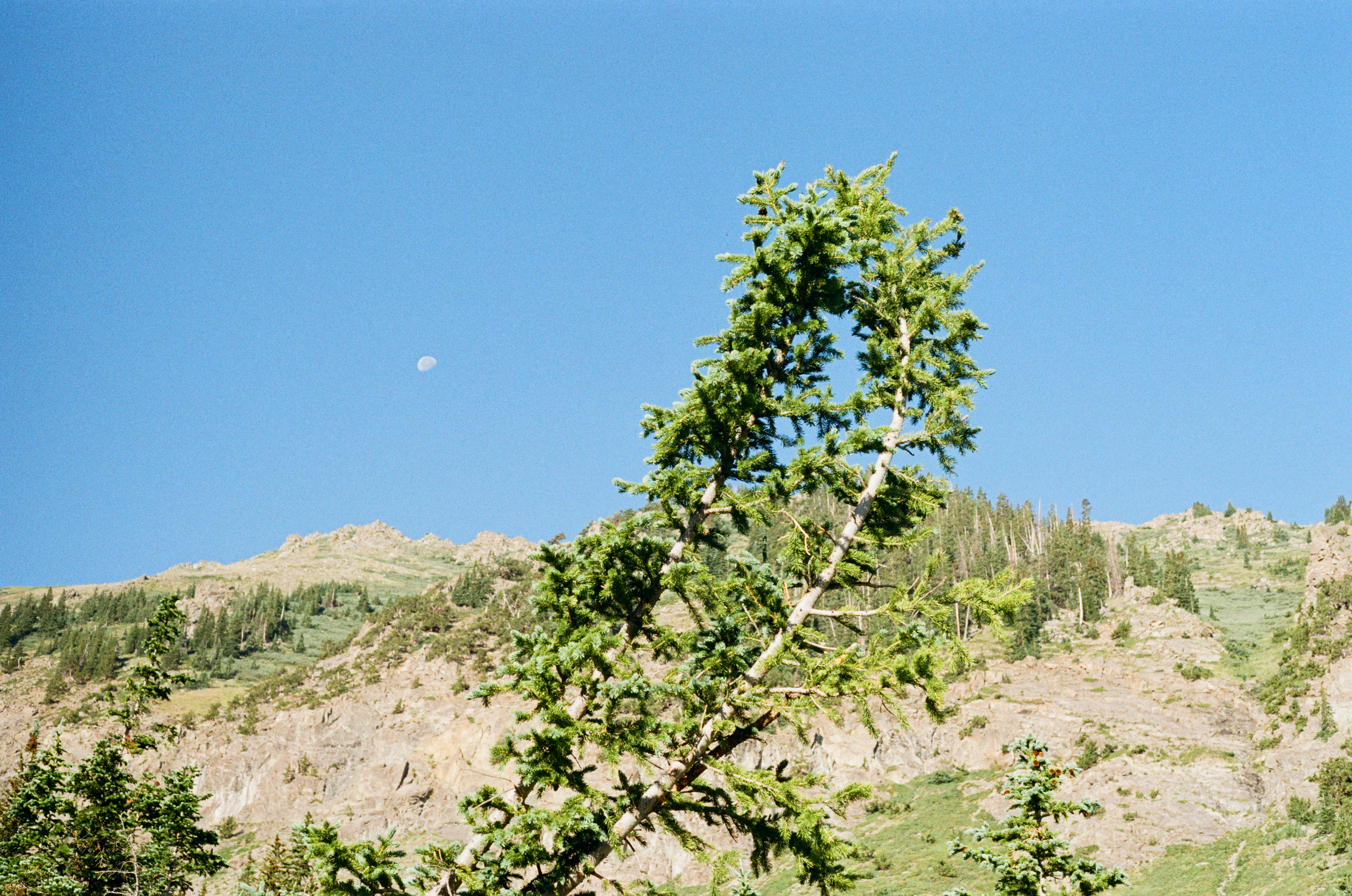 Day Moon in CO 2025