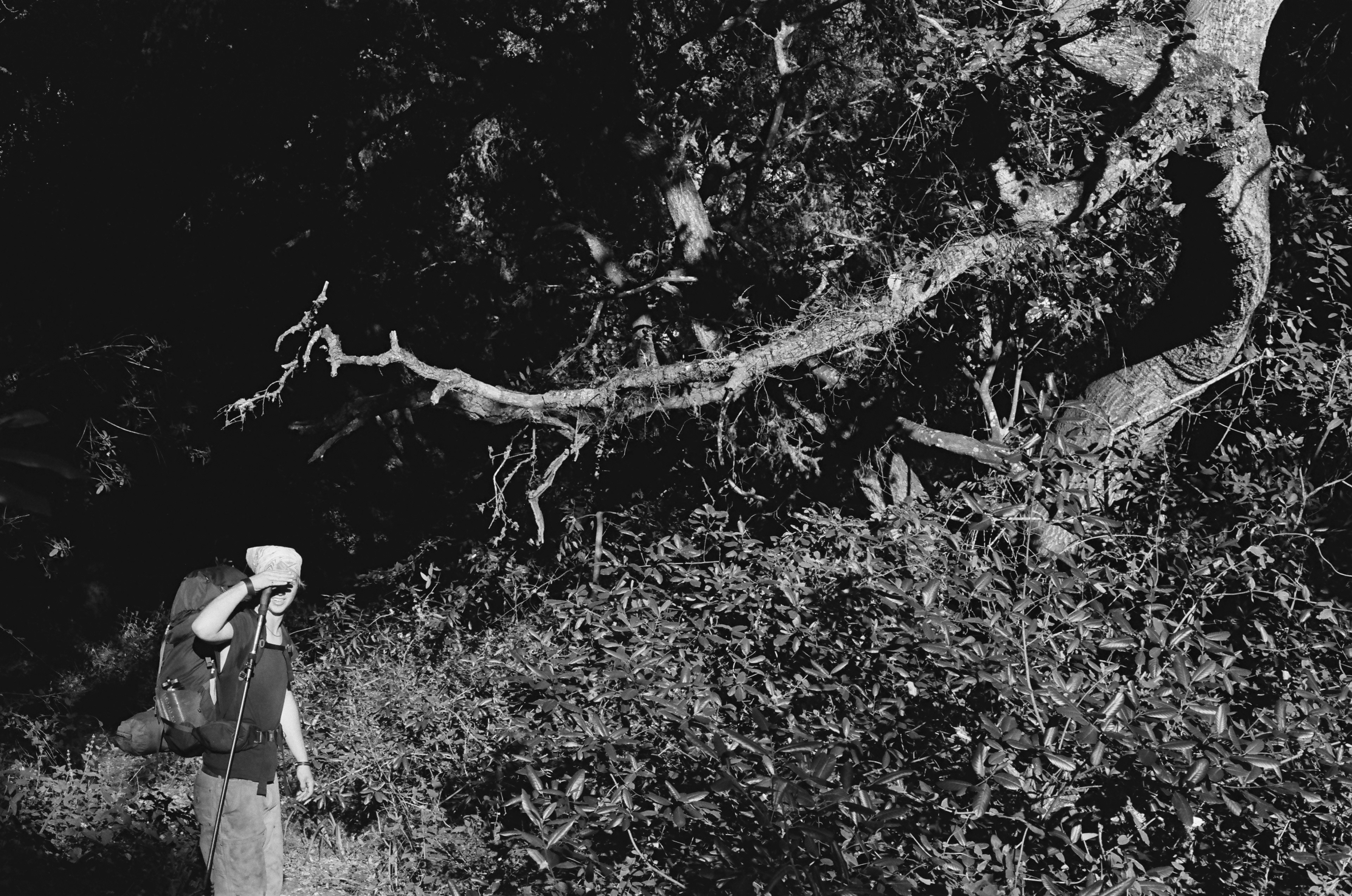 Tanner in Big Sur, CA 2025