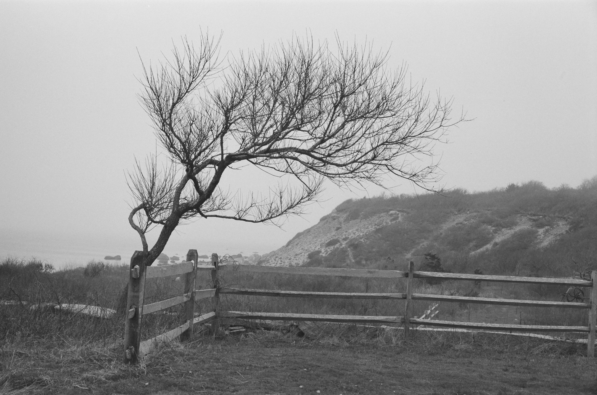 Martha's Vineyard 2023