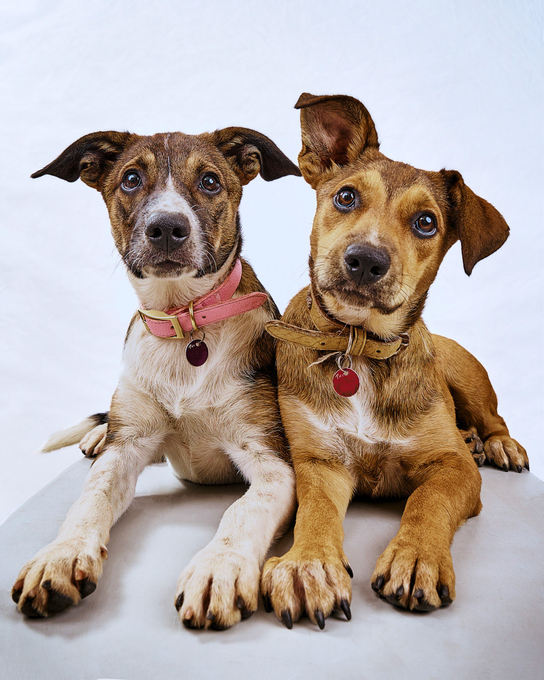 Peanut and Kizzy