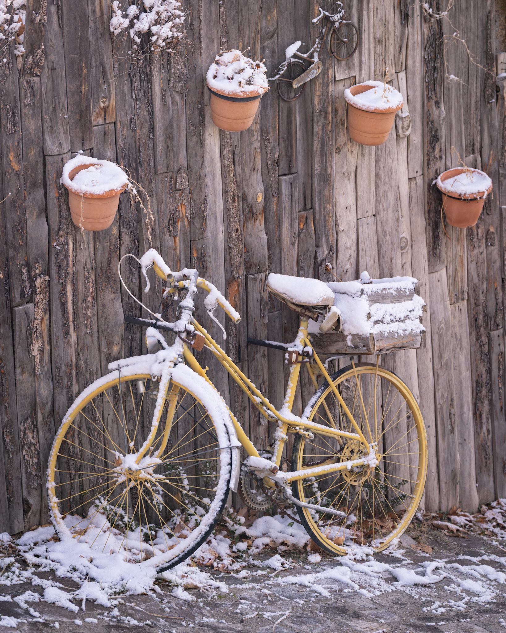 Turkiye - Winter