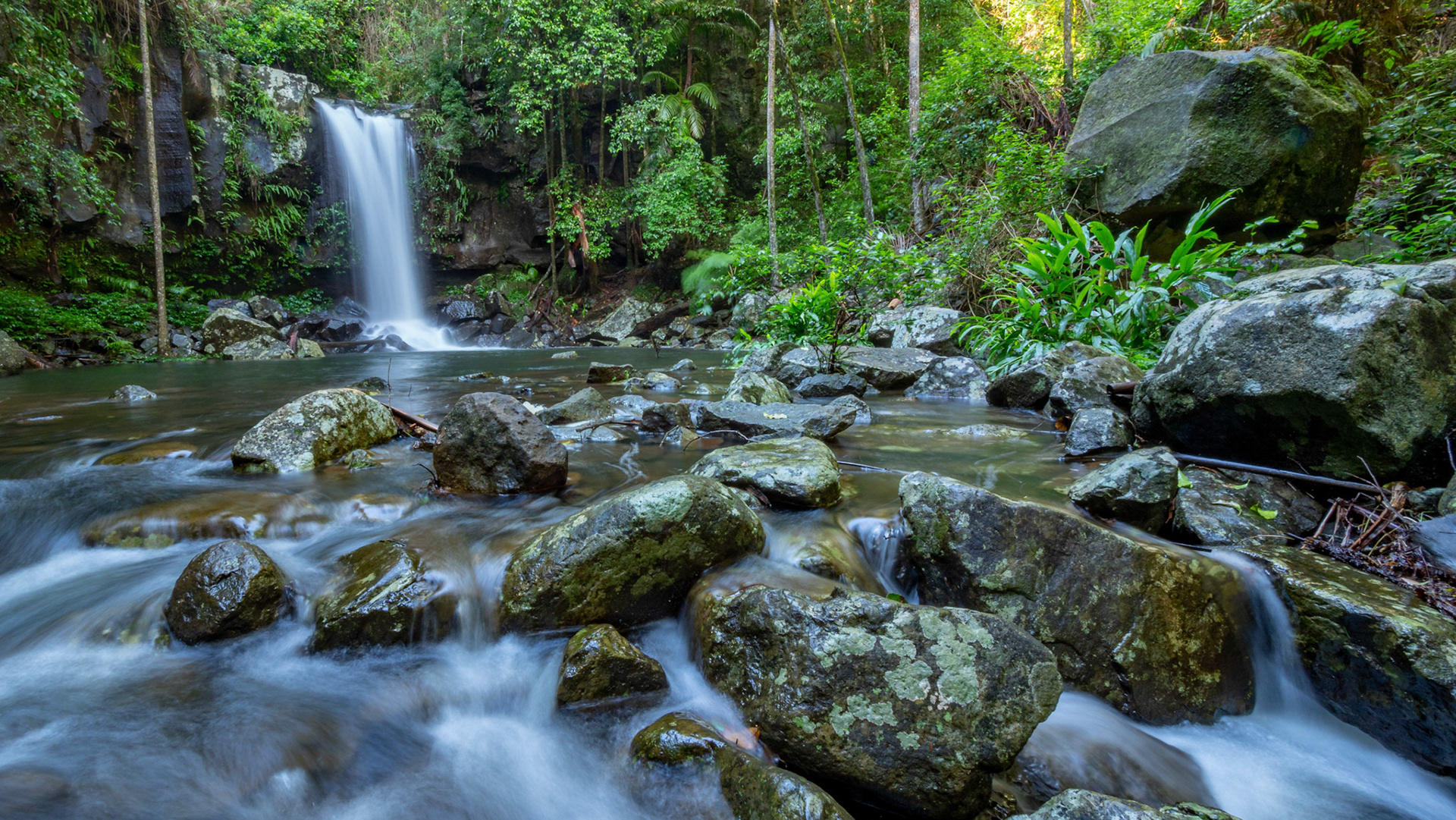 Curtis Falls