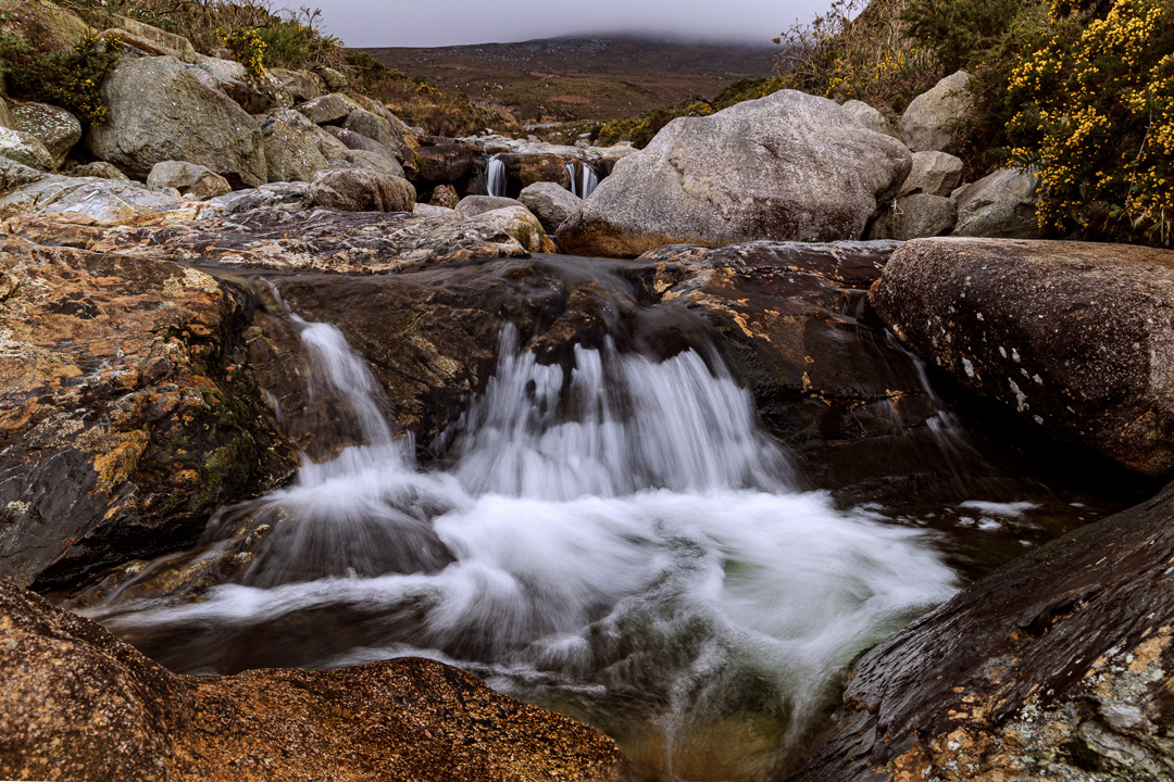 Bloody Bridge Newcastle