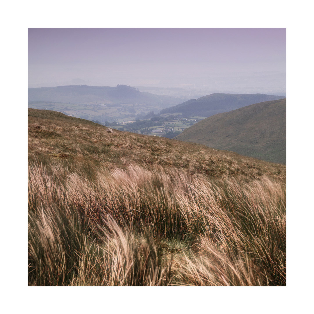 June - Grazing Land