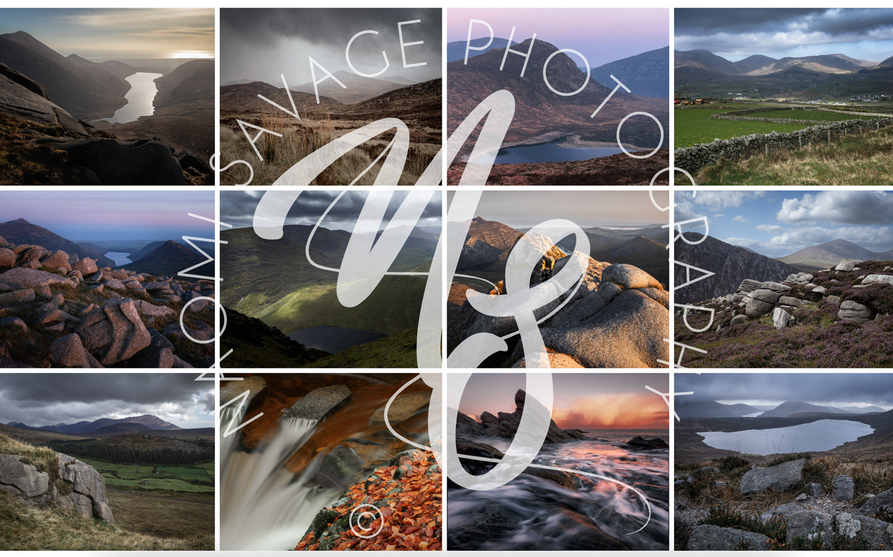 2025 Landscape Collection