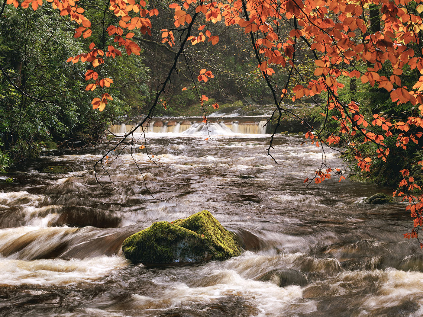 The Autumnal tones of Tollymore - 2025