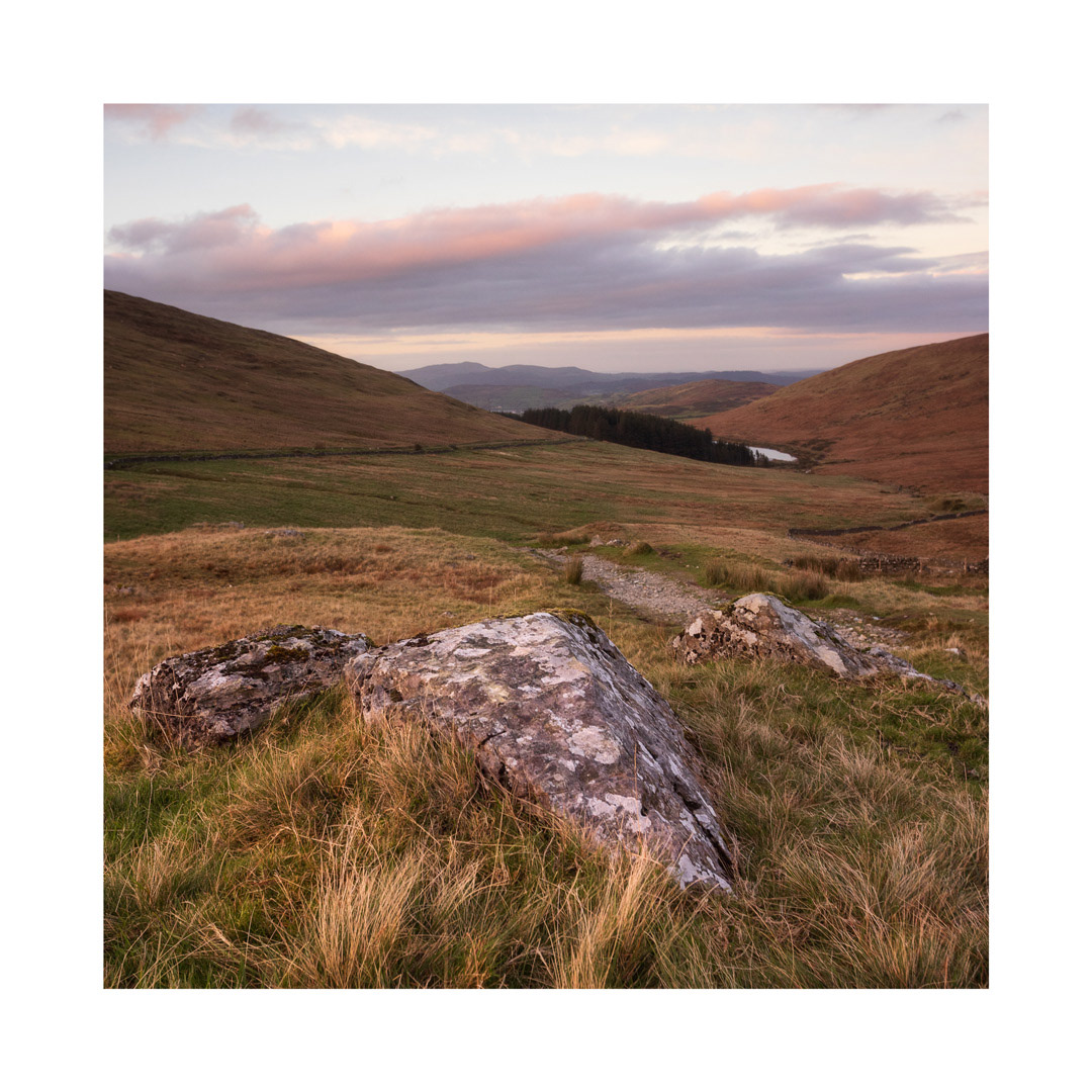 Oct - Pink Rock