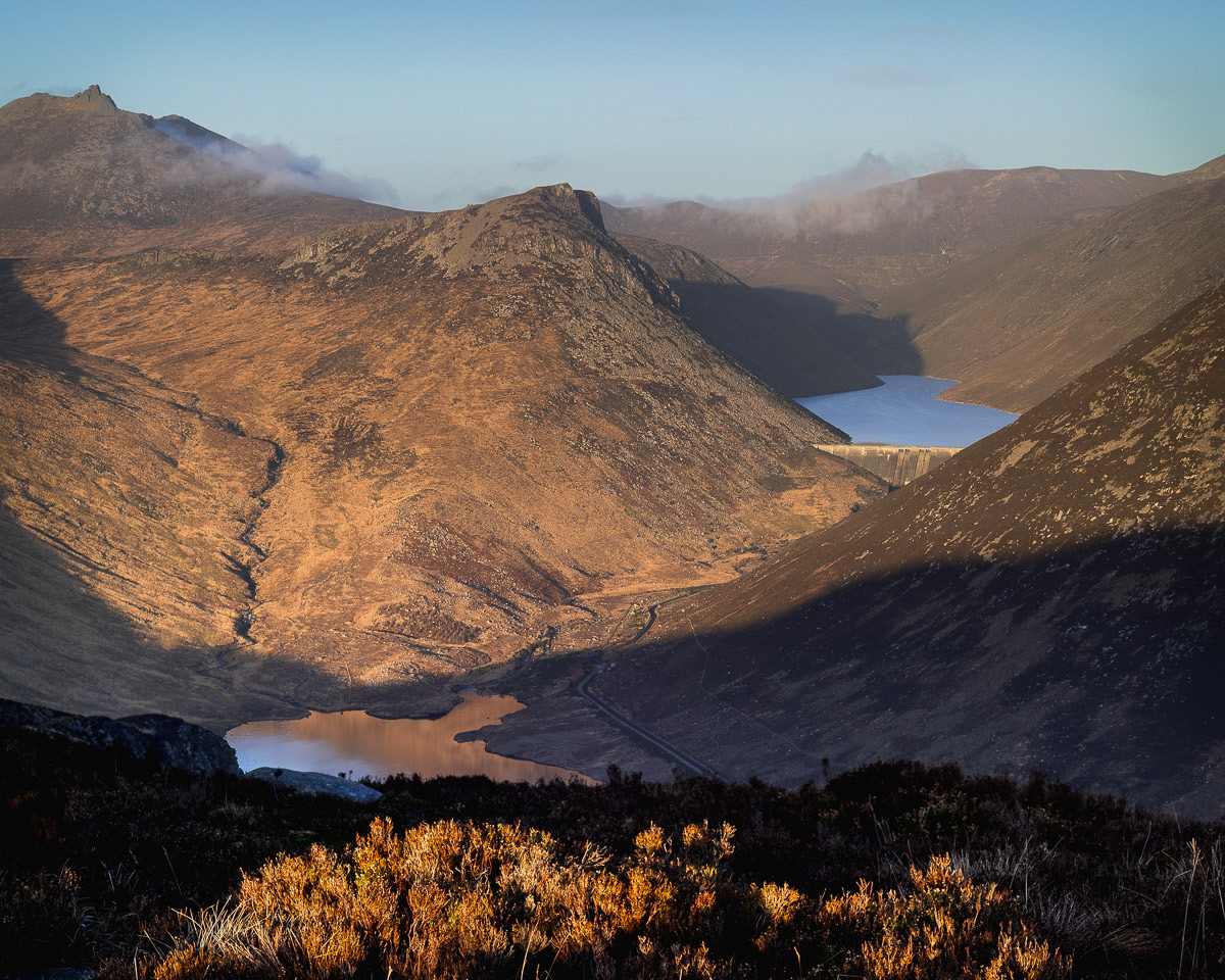 Golden tones at golden hour