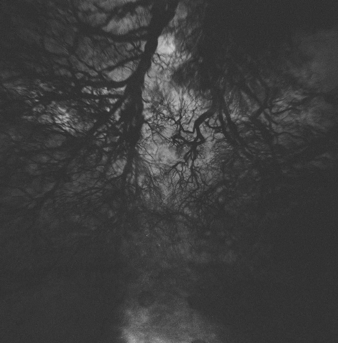 rand candid camera medium format