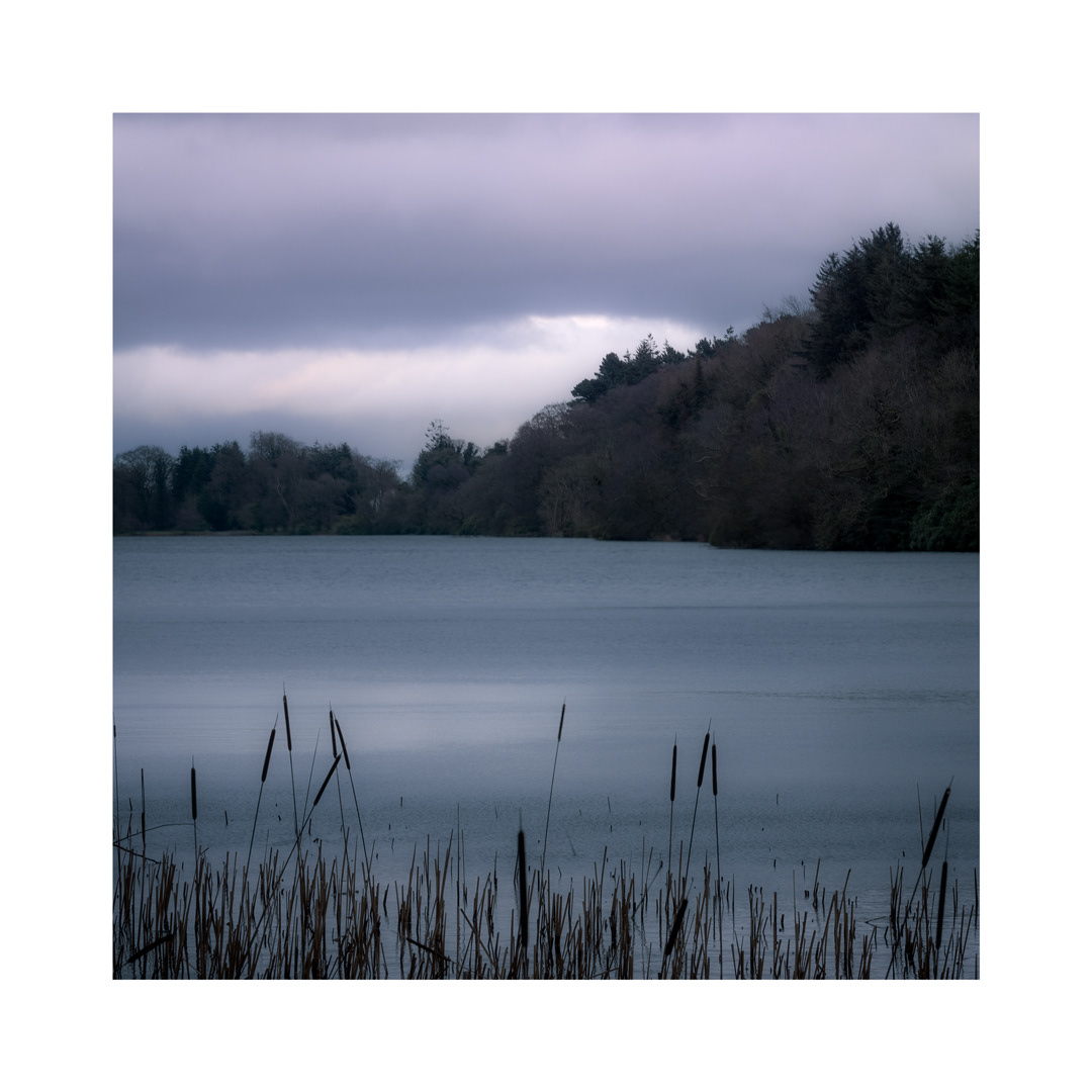 Dec - Winter Glimmer
