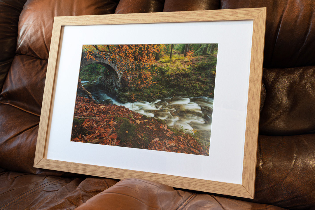 Tollymore Print - Autumn 2021
