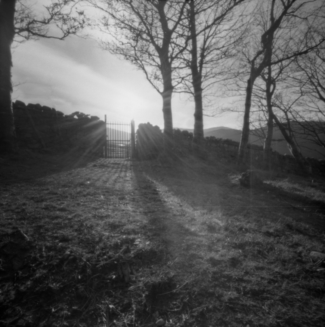 pinhole zero 2000 medium format