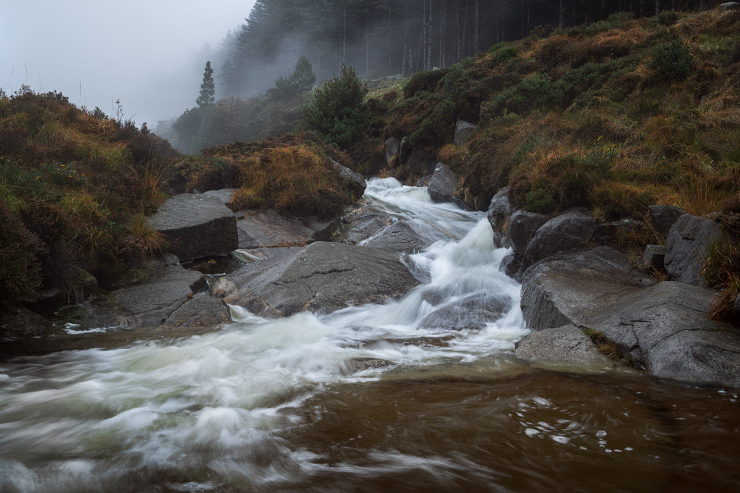 The Glen River - 2022