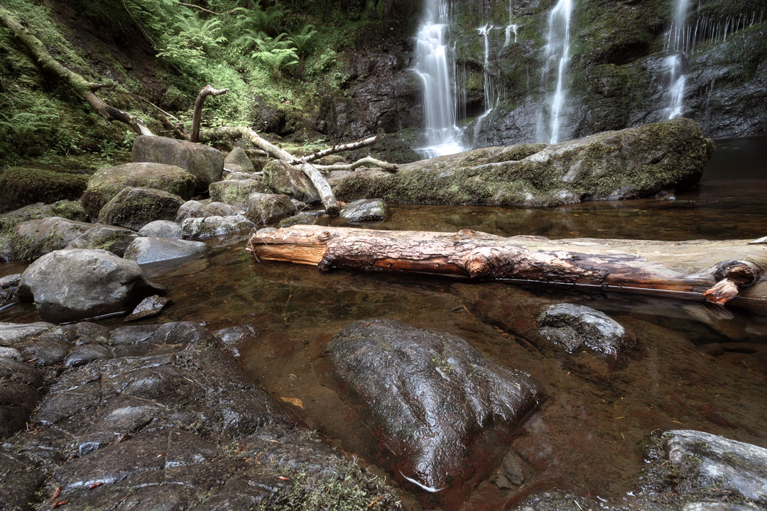 Glenariff Forest Park