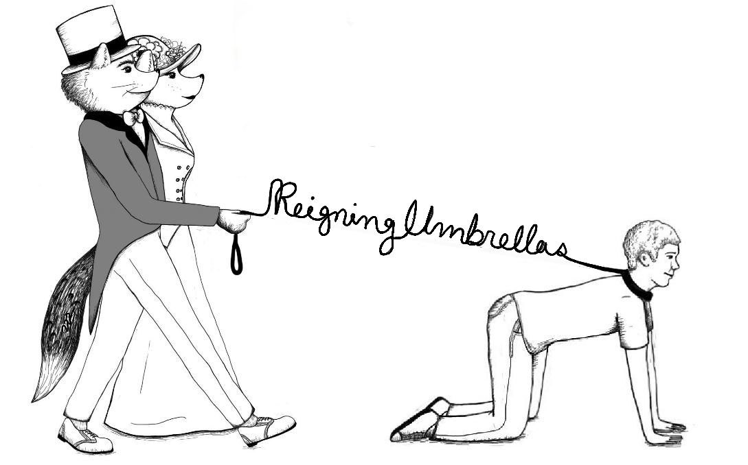 Reigning Umbrellas - Fancy Animals, 2013