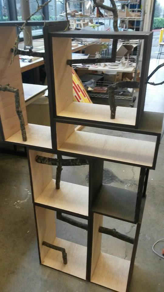Windows Shelf, 2017