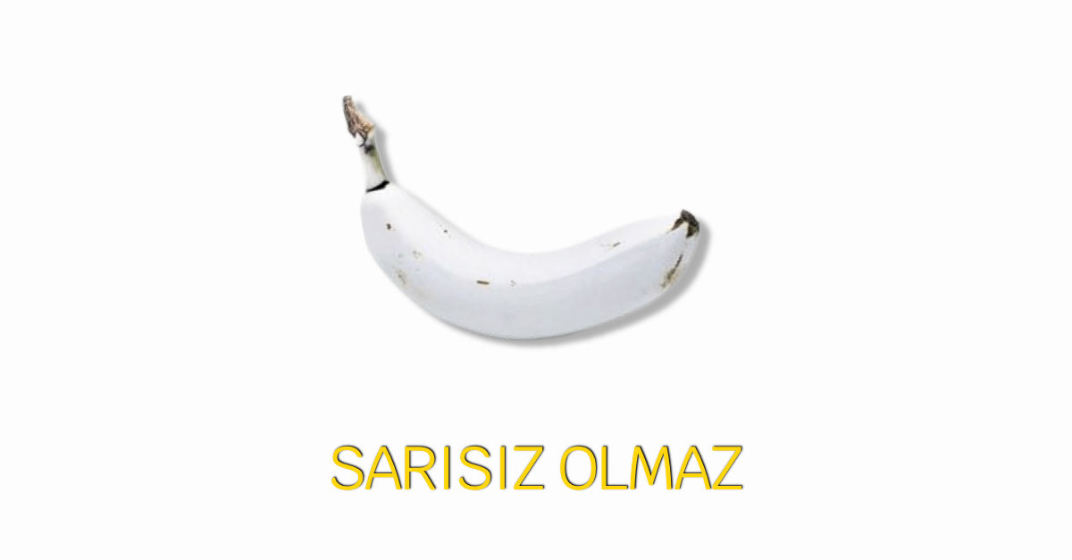 SARI - 29