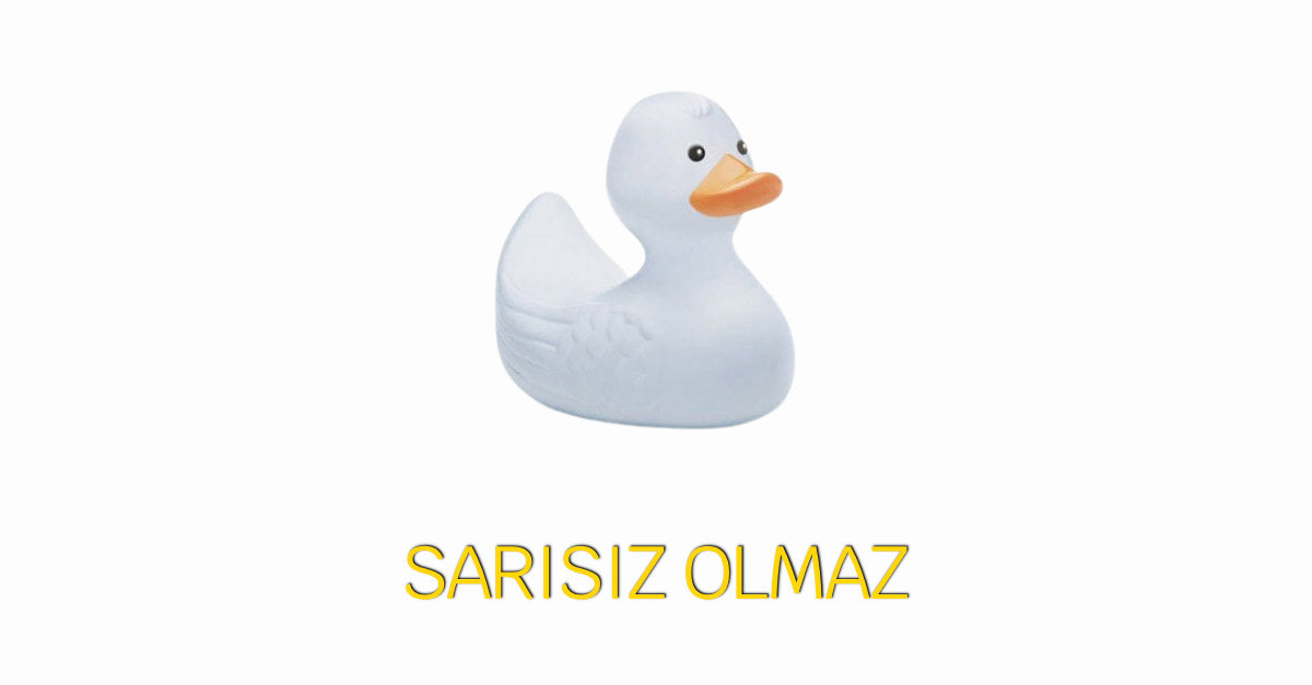 SARI - 31