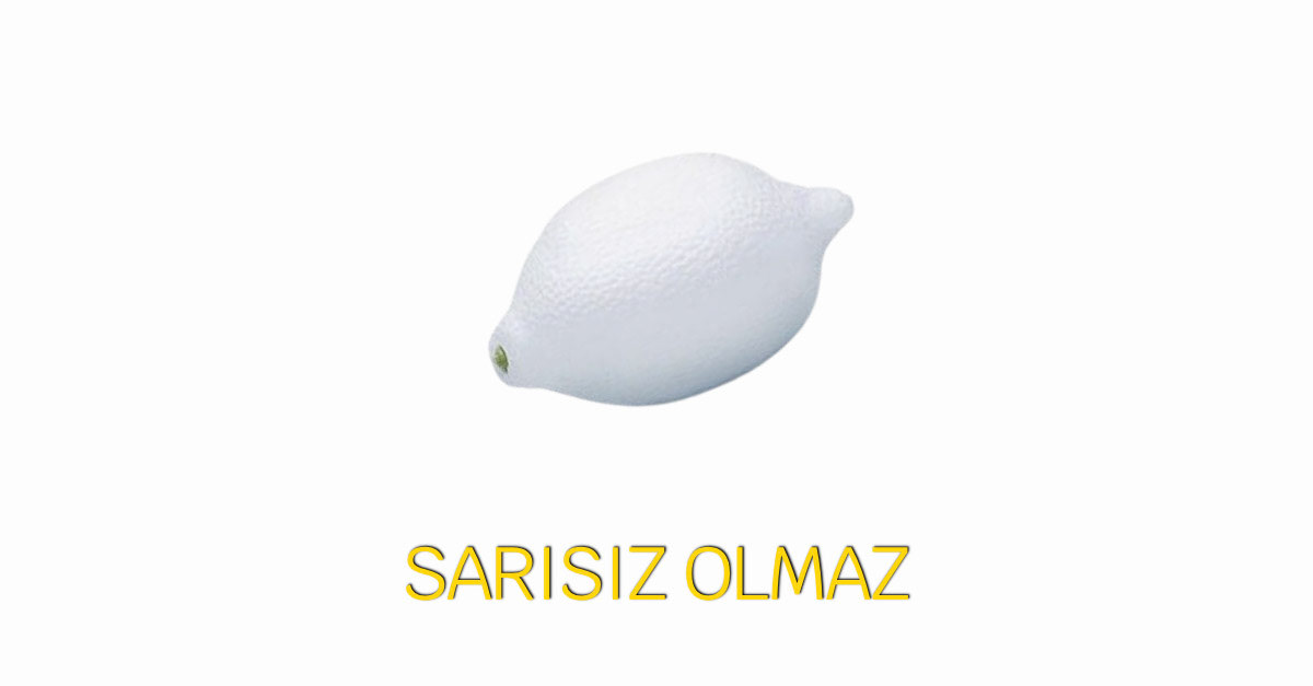SARI - 32