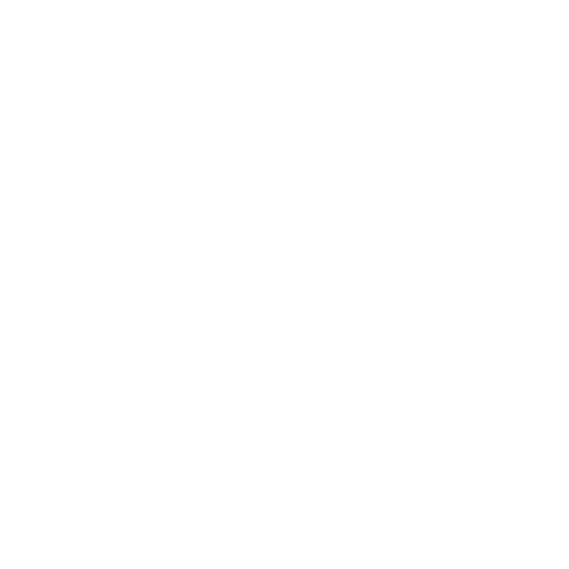 Pedro Ivan Lemos Rappoport
