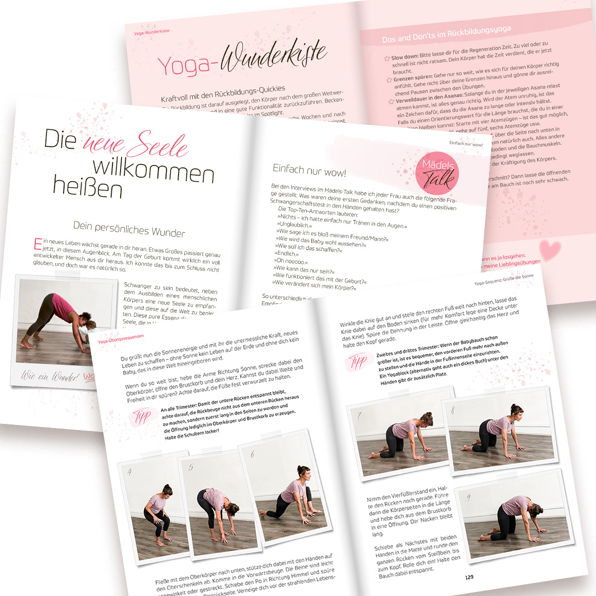 Layout/Satz/Bildredaktion