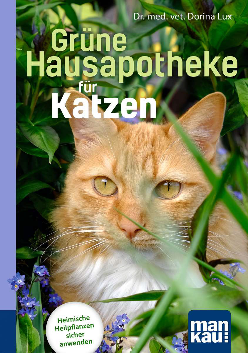Layout/Satz/Bildredaktion