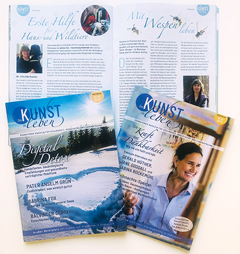 individuelles Seitenlayout/Cover