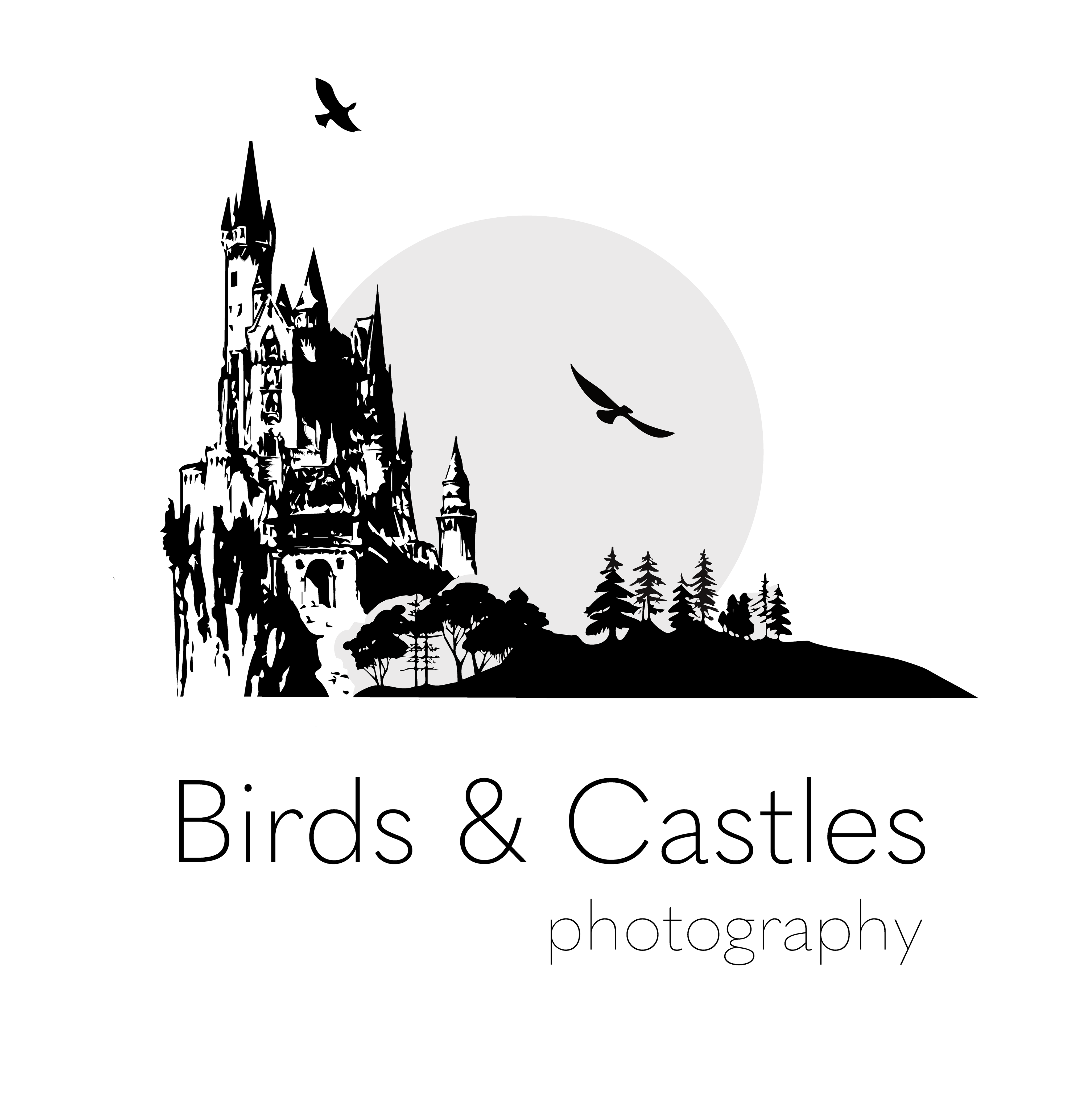 Birds and Castles