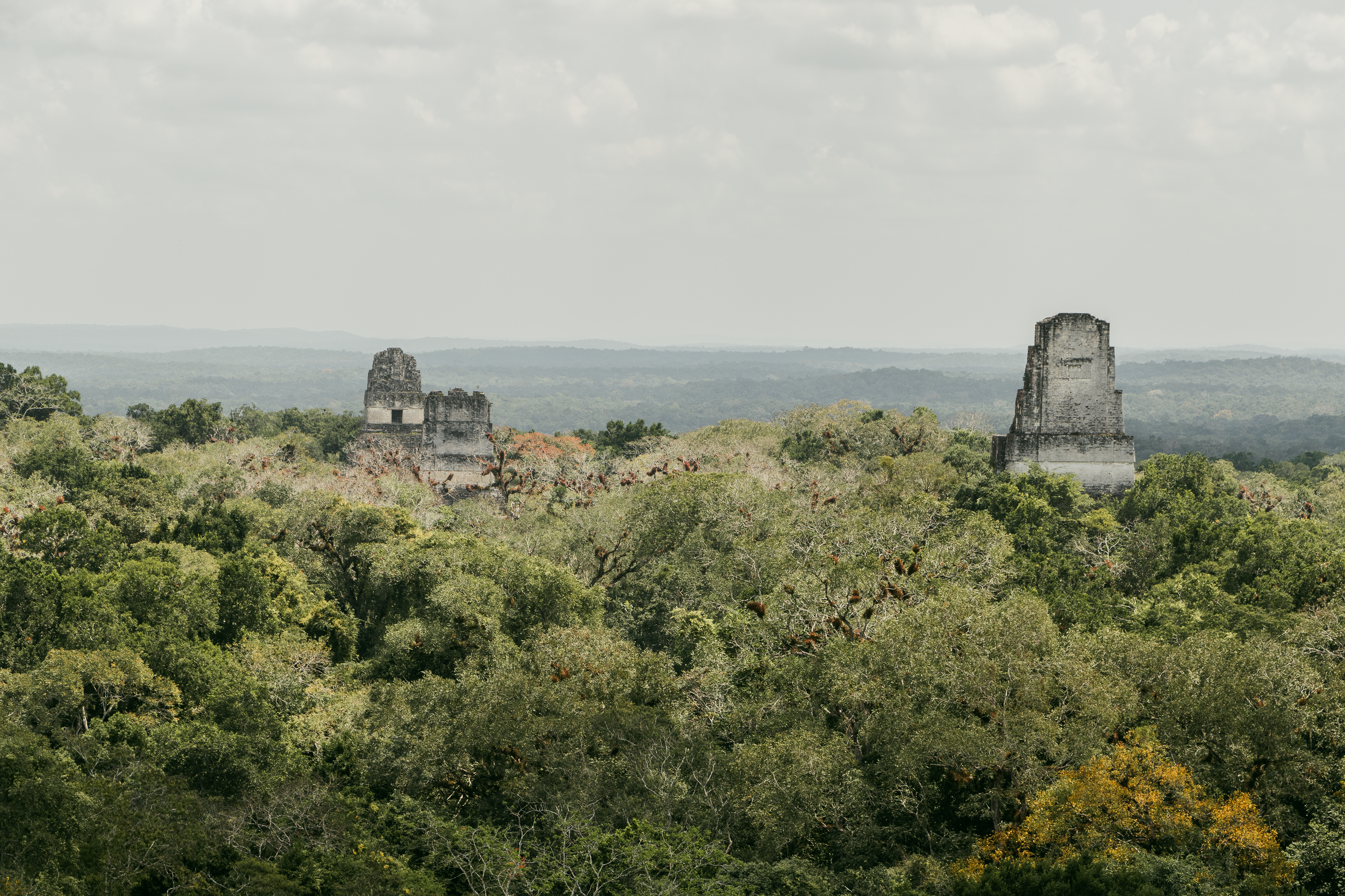 Vista desde el templo V - Parque Nacional Tikal