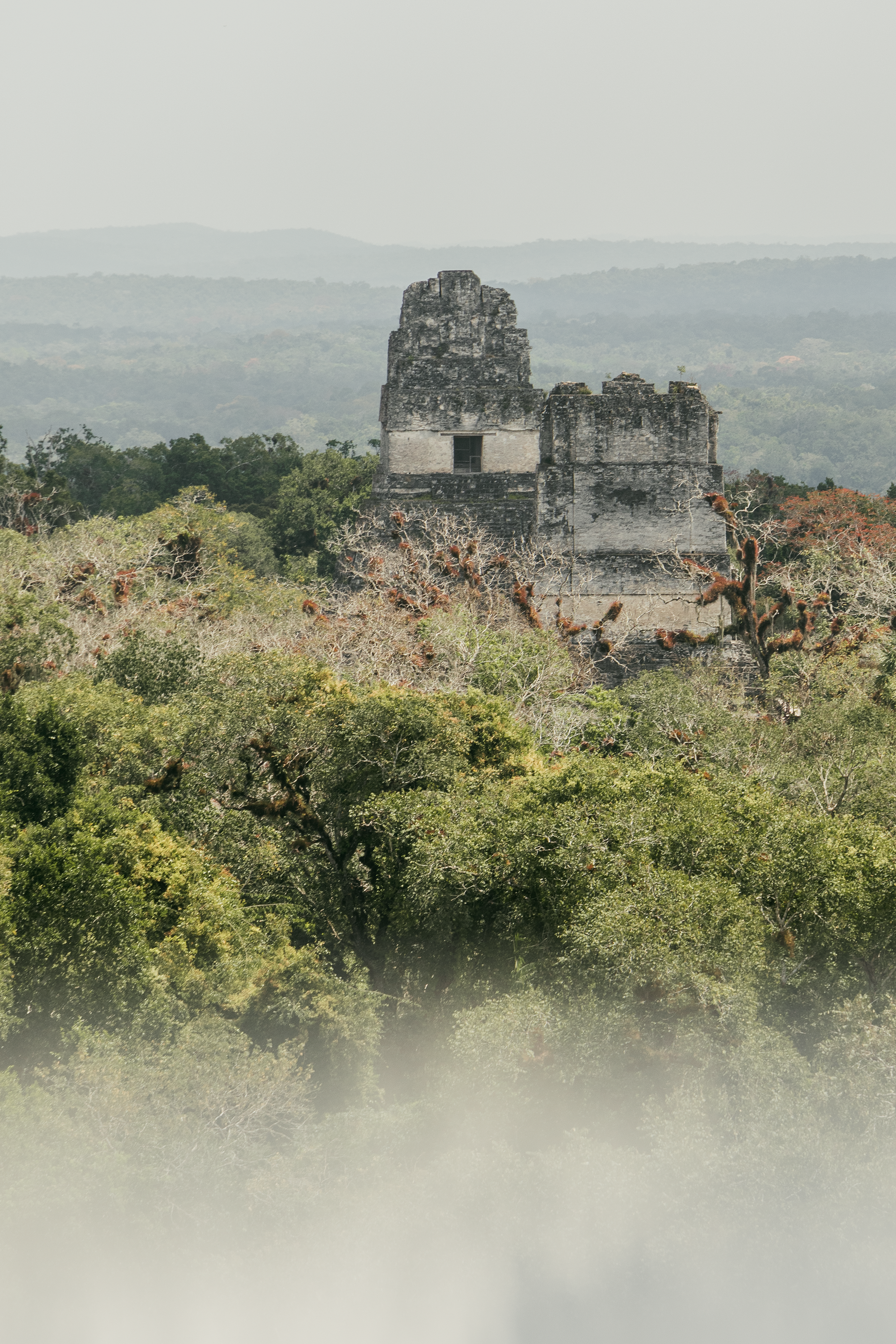 Templo I y II vistos desde templo V - Parque Nacional Tikal