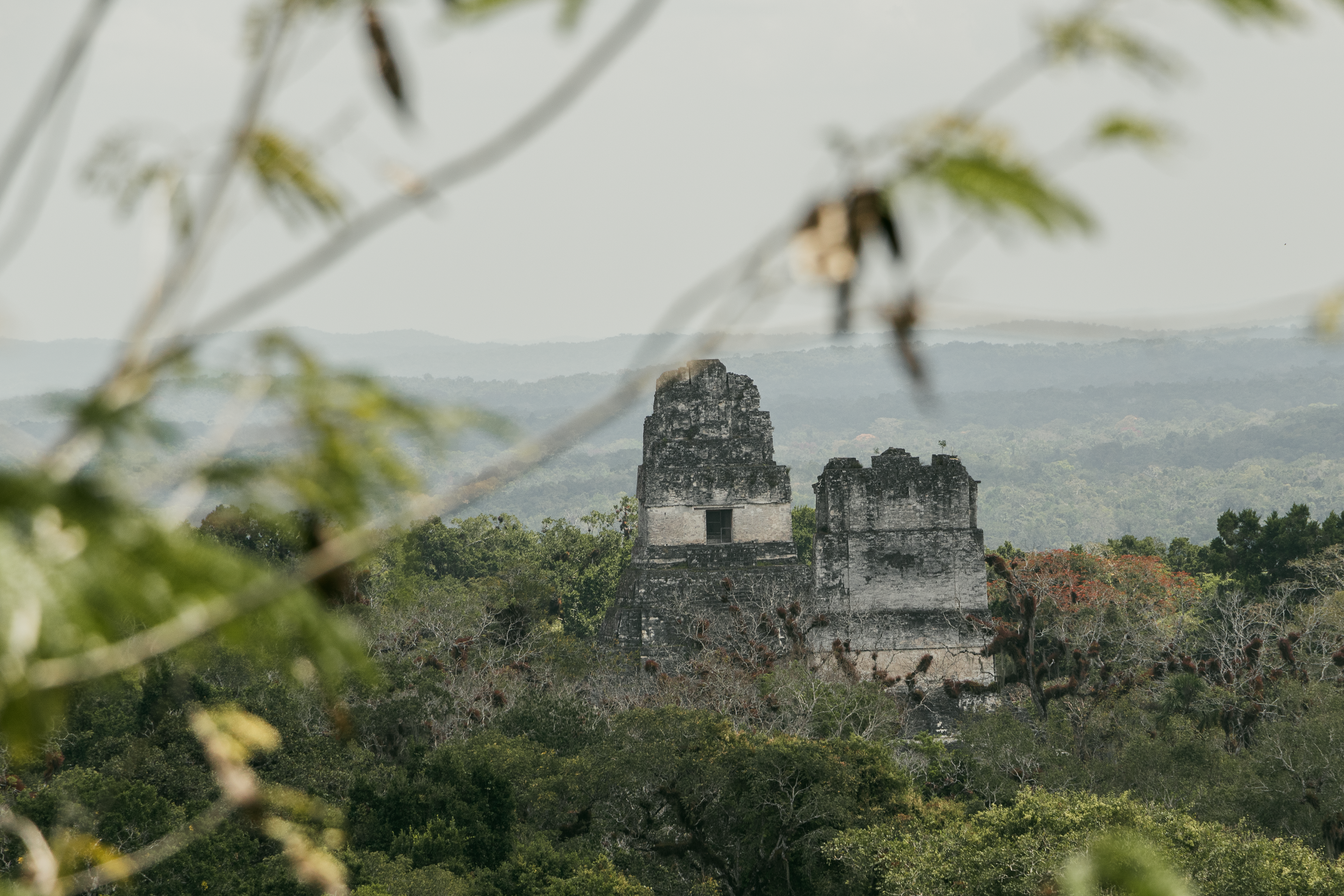 Templo I y II vistos desde templo V - Parque Nacional Tikal