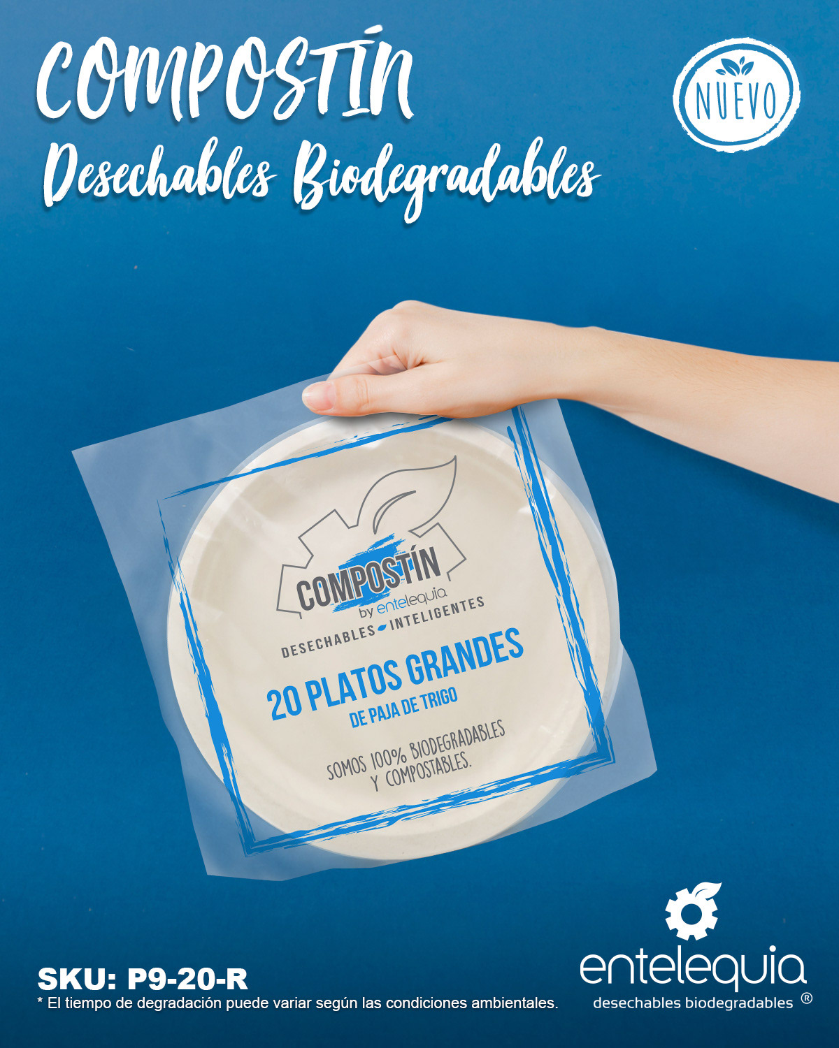 Platos Desechables Biodegradables – Entelequia® Desechables Biodegradables