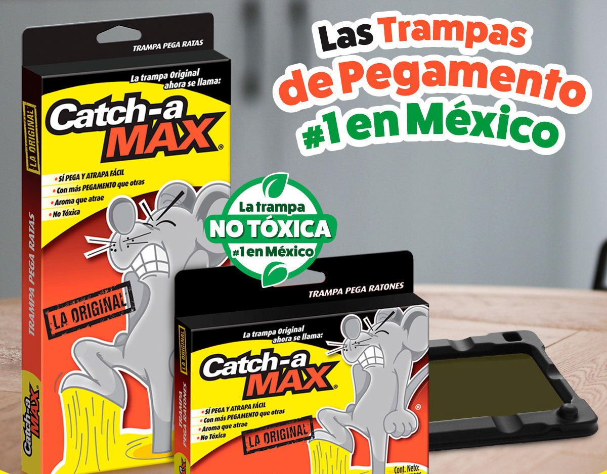 Trampas Catch-a Max Pega Ratones La Original, 2 pzas.