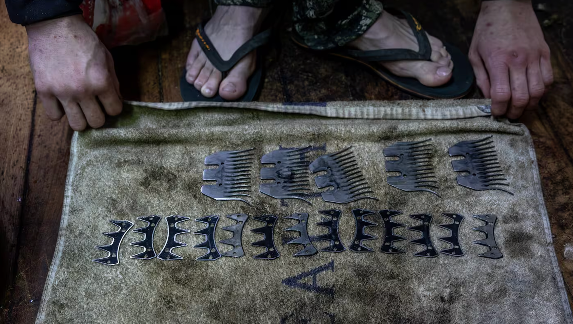 The combs and cutters used for shearing are carefully packed away. Photo / Mike Scott