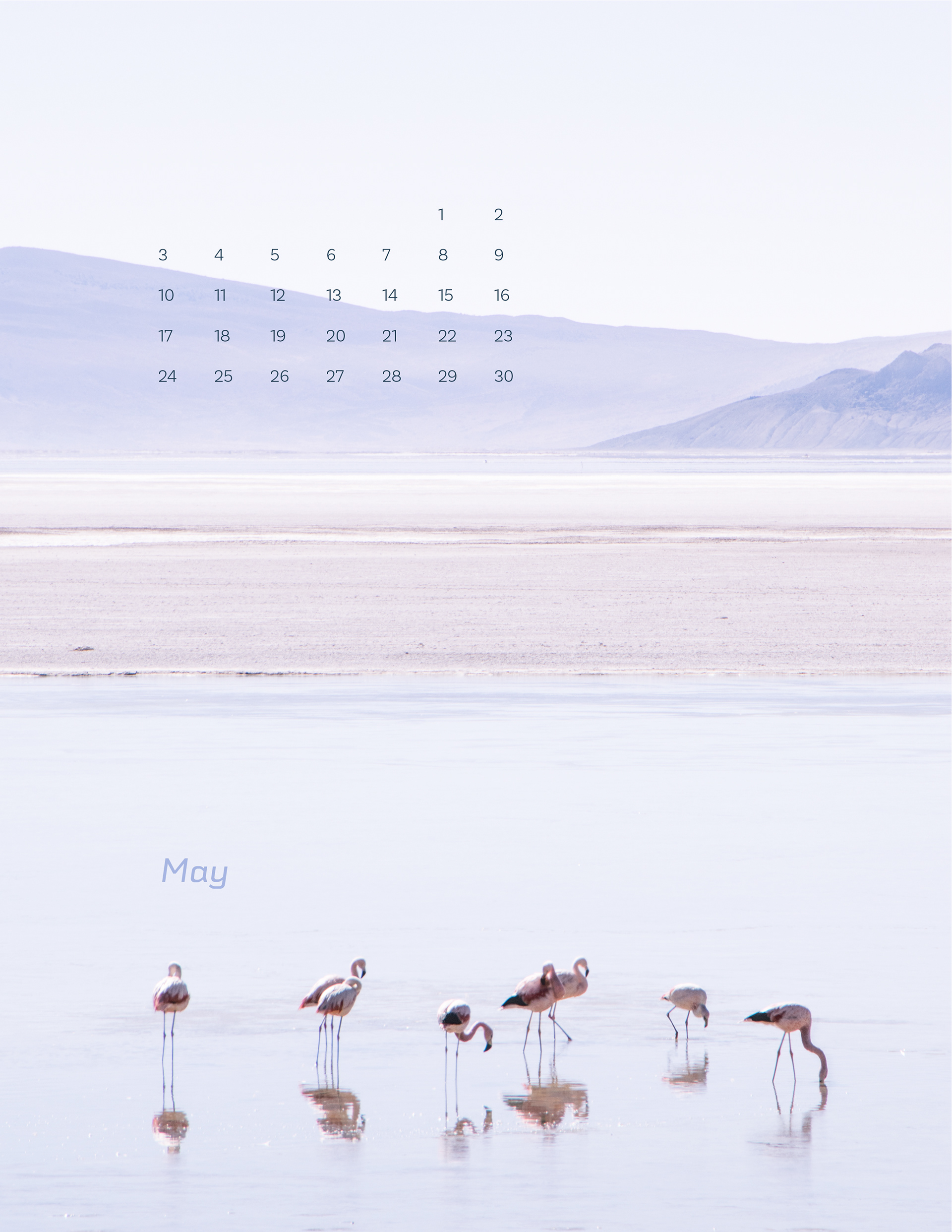 May: Salt flat with flamingoes, Atacama Desert